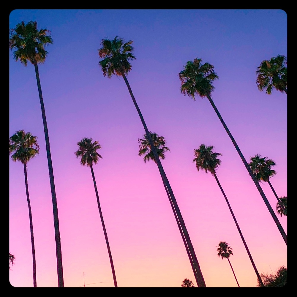 Meet your Posher, Annika